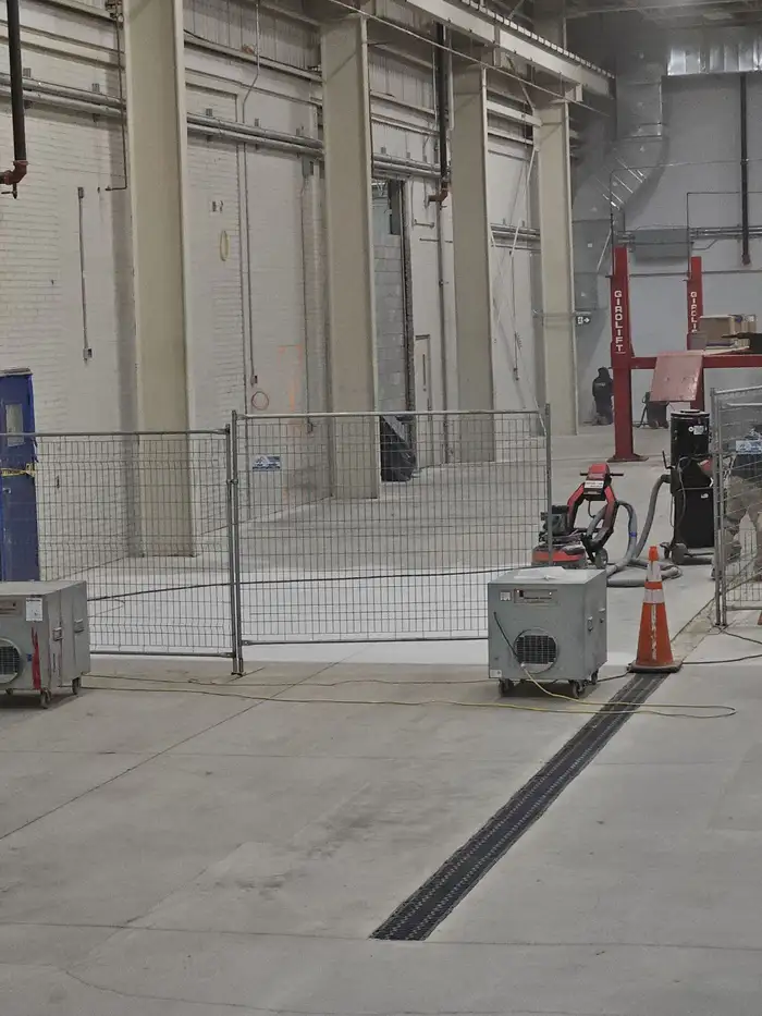Ceta - Image 3